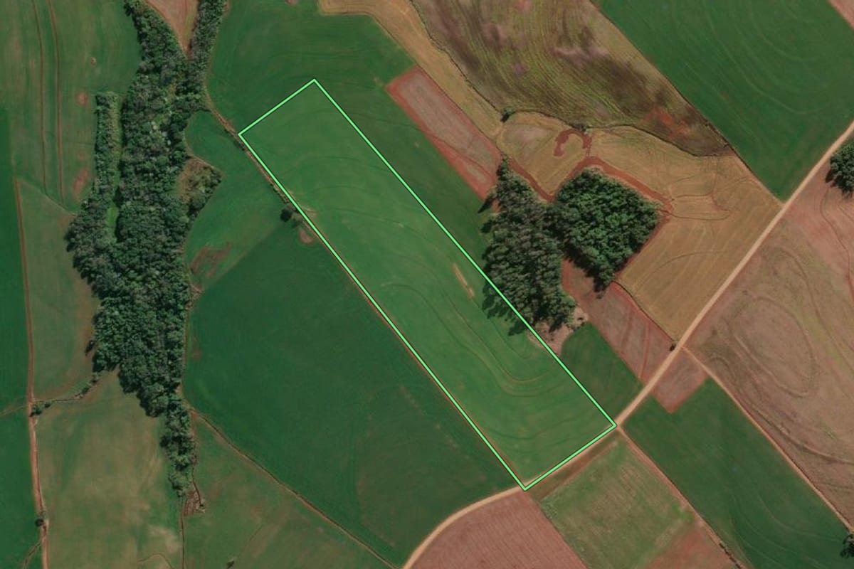 Imagem de satélite do imóvel rural em Porto Mauá (RS), com o contorno declarado no CAR desenhado por cima.