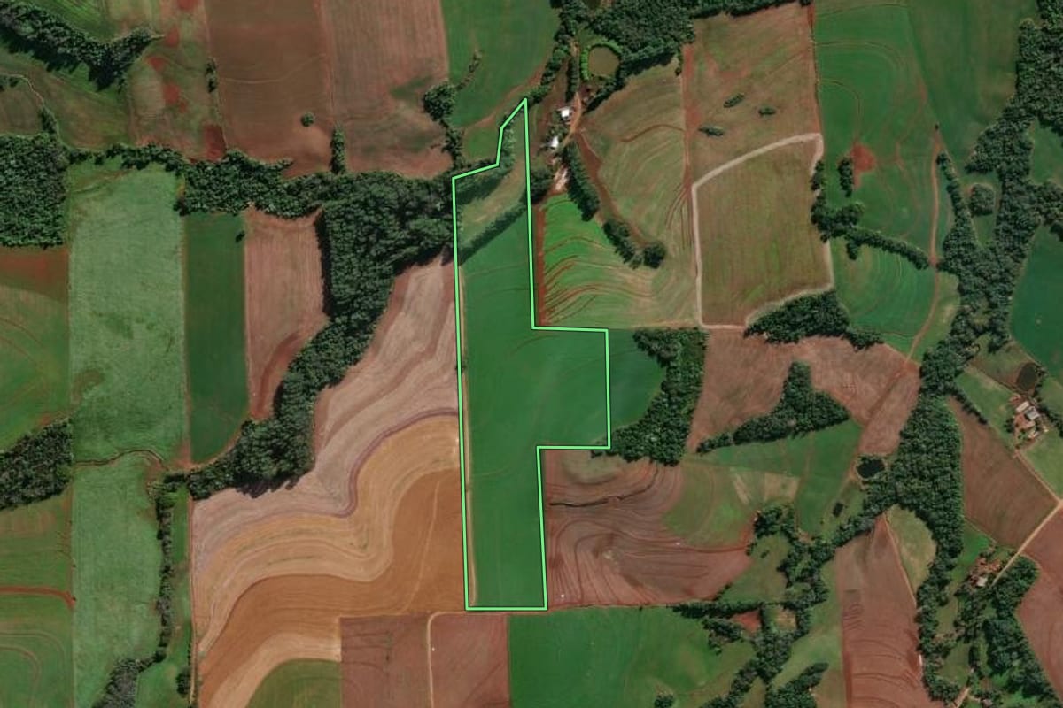 Imagem de satélite do imóvel rural em Porto Mauá (RS), com o contorno declarado no CAR desenhado por cima.