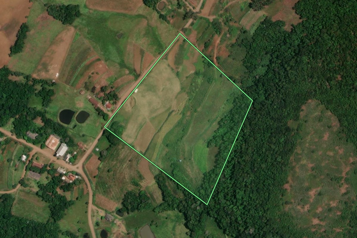 Imagem de satélite do imóvel rural em Porto Vera Cruz (RS), com o contorno declarado no CAR desenhado por cima.