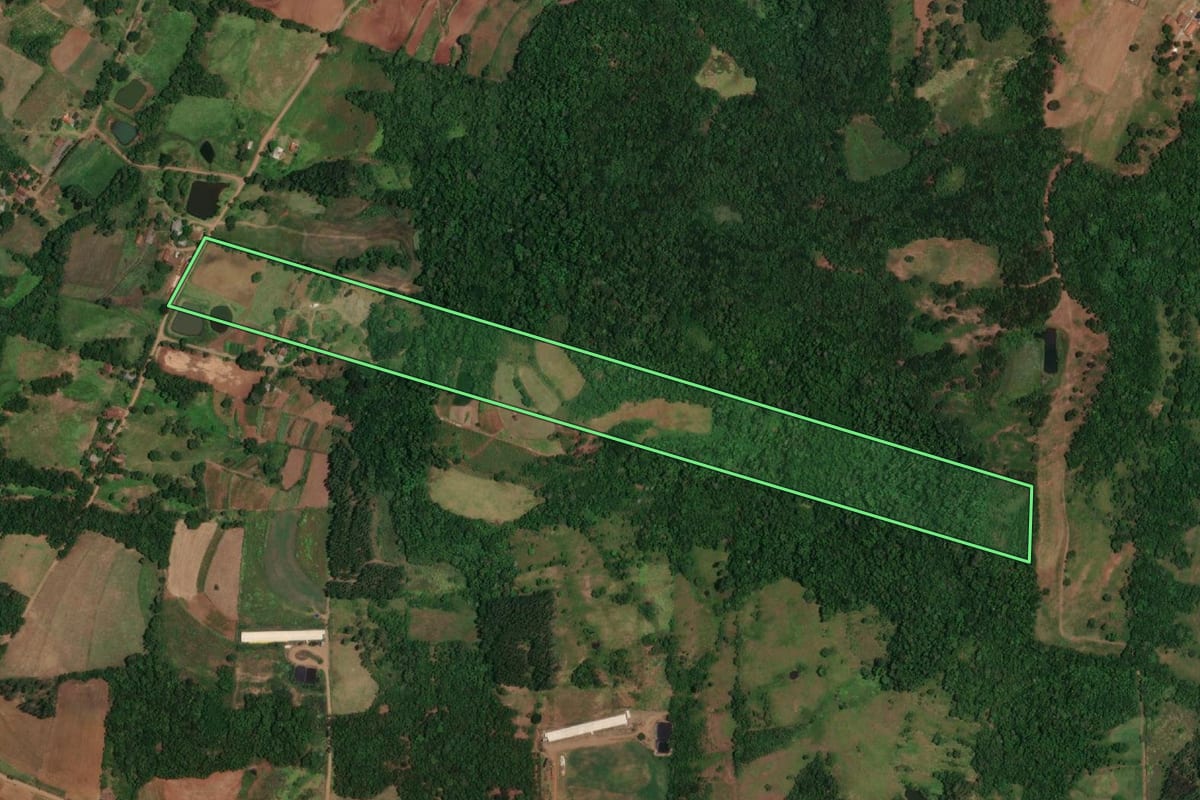 Imagem de satélite do imóvel rural em Porto Vera Cruz (RS), com o contorno declarado no CAR desenhado por cima.