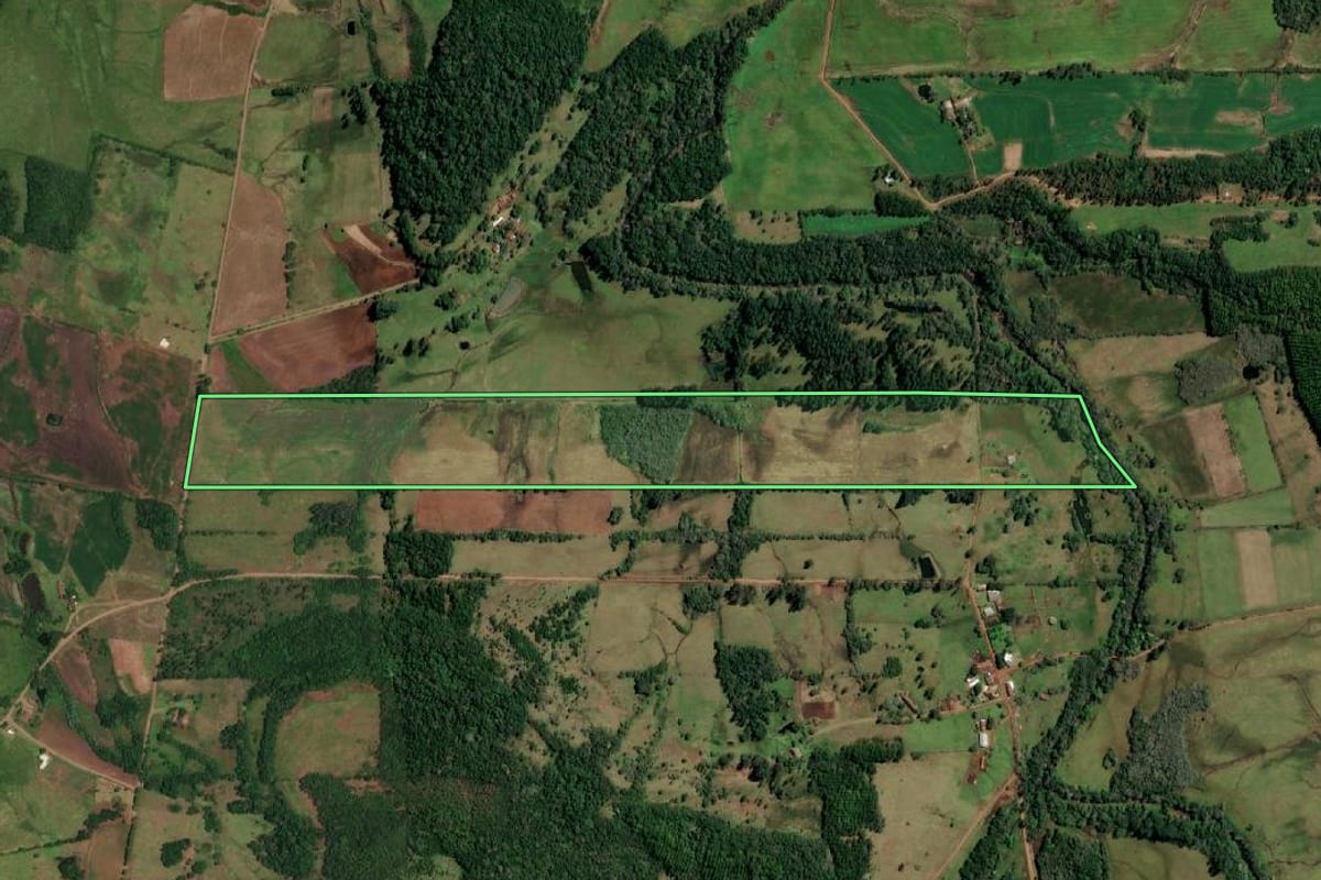 Imagem de satélite do imóvel rural em Porto Vera Cruz (RS), com o contorno declarado no CAR desenhado por cima.