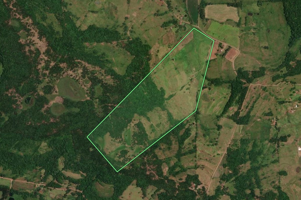 Imagem de satélite do imóvel rural em Porto Vera Cruz (RS), com o contorno declarado no CAR desenhado por cima.