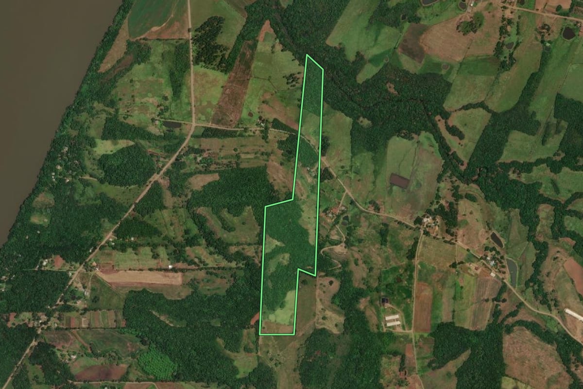Imagem de satélite do imóvel rural em Porto Vera Cruz (RS), com o contorno declarado no CAR desenhado por cima.