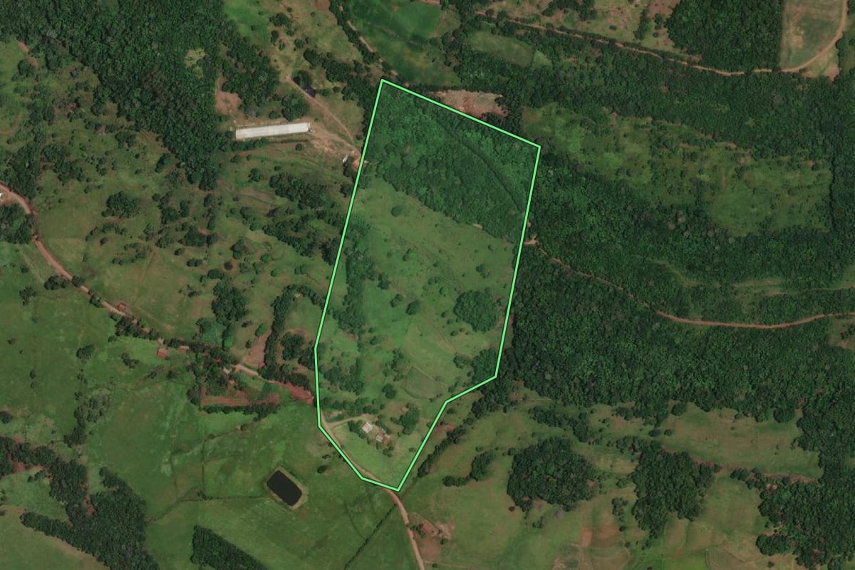 Imagem de satélite do imóvel rural em Porto Vera Cruz (RS), com o contorno declarado no CAR desenhado por cima.