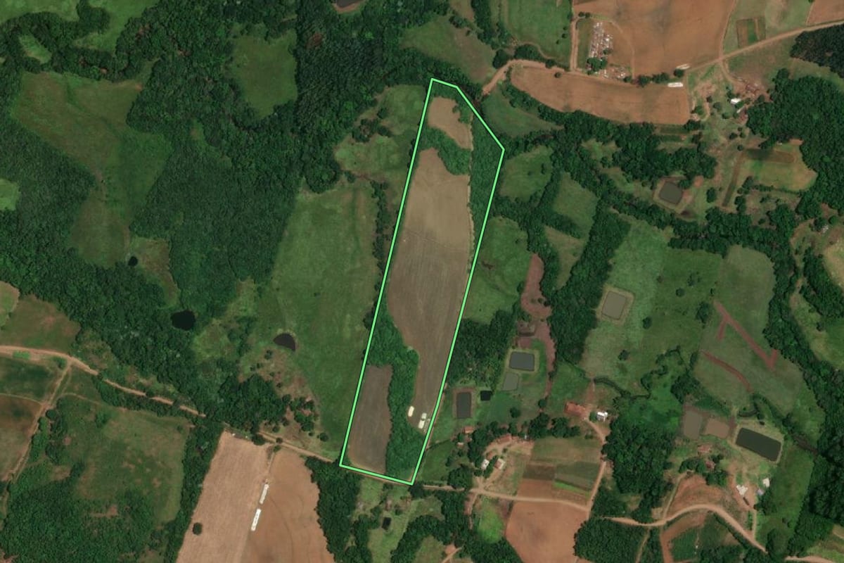 Imagem de satélite do imóvel rural em Porto Vera Cruz (RS), com o contorno declarado no CAR desenhado por cima.