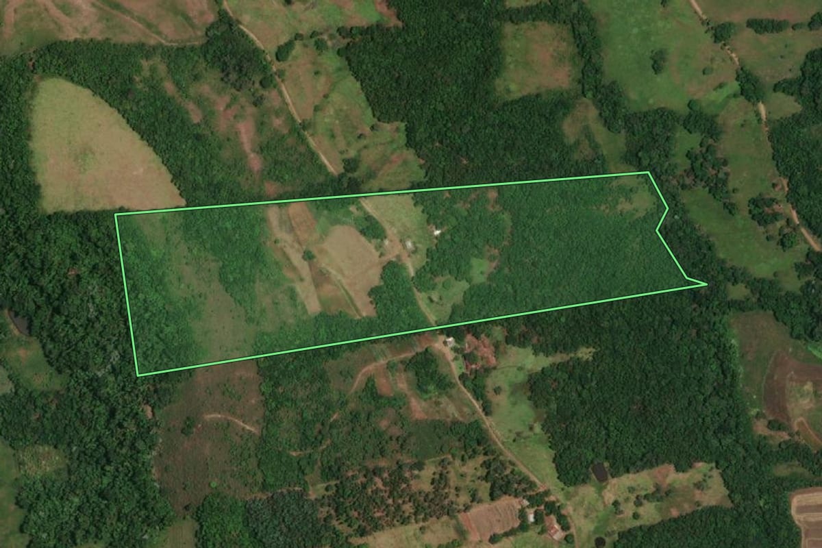 Imagem de satélite do imóvel rural em Porto Vera Cruz (RS), com o contorno declarado no CAR desenhado por cima.