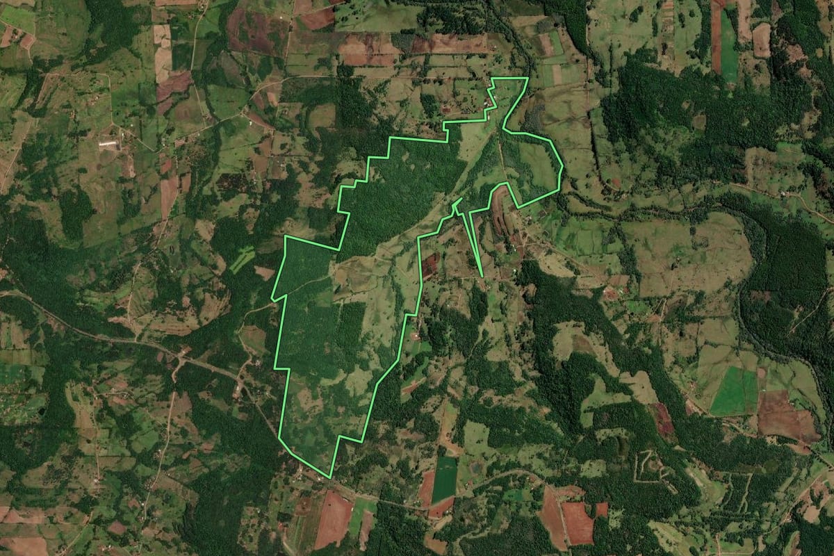 Imagem de satélite do imóvel rural em Porto Vera Cruz (RS), com o contorno declarado no CAR desenhado por cima.