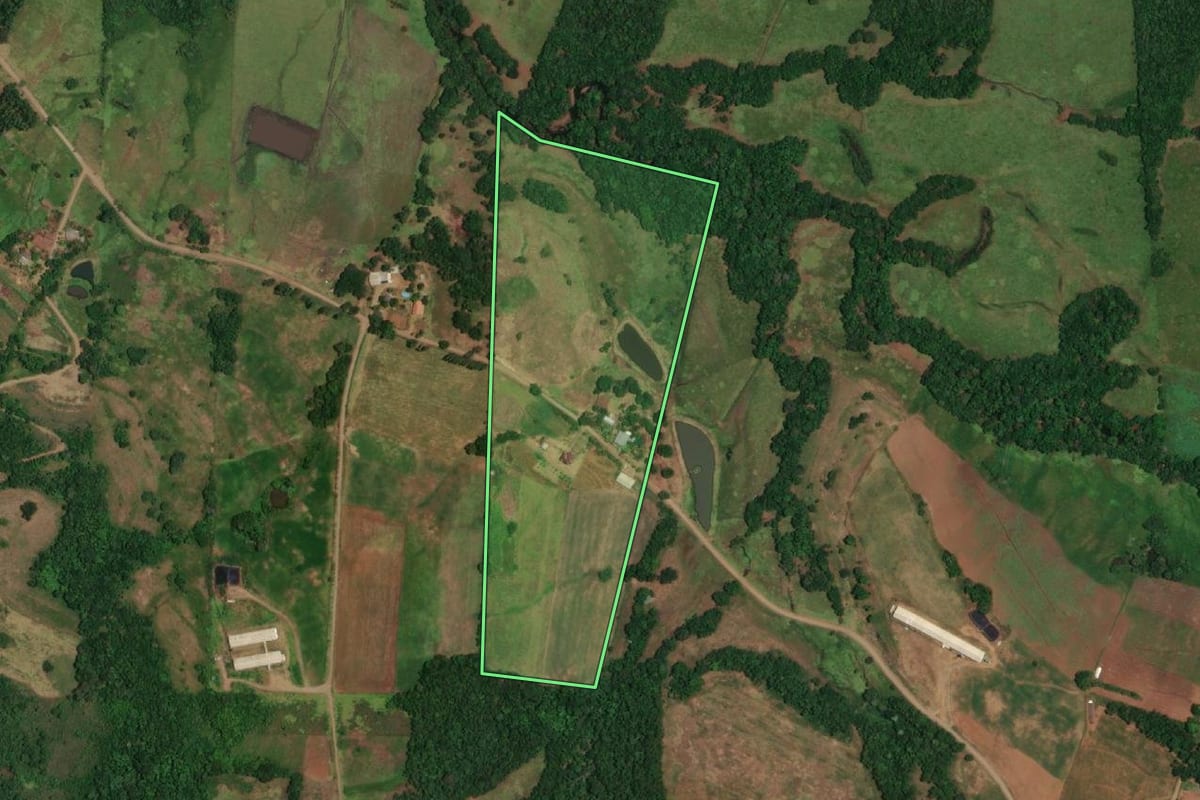 Imagem de satélite do imóvel rural em Porto Vera Cruz (RS), com o contorno declarado no CAR desenhado por cima.