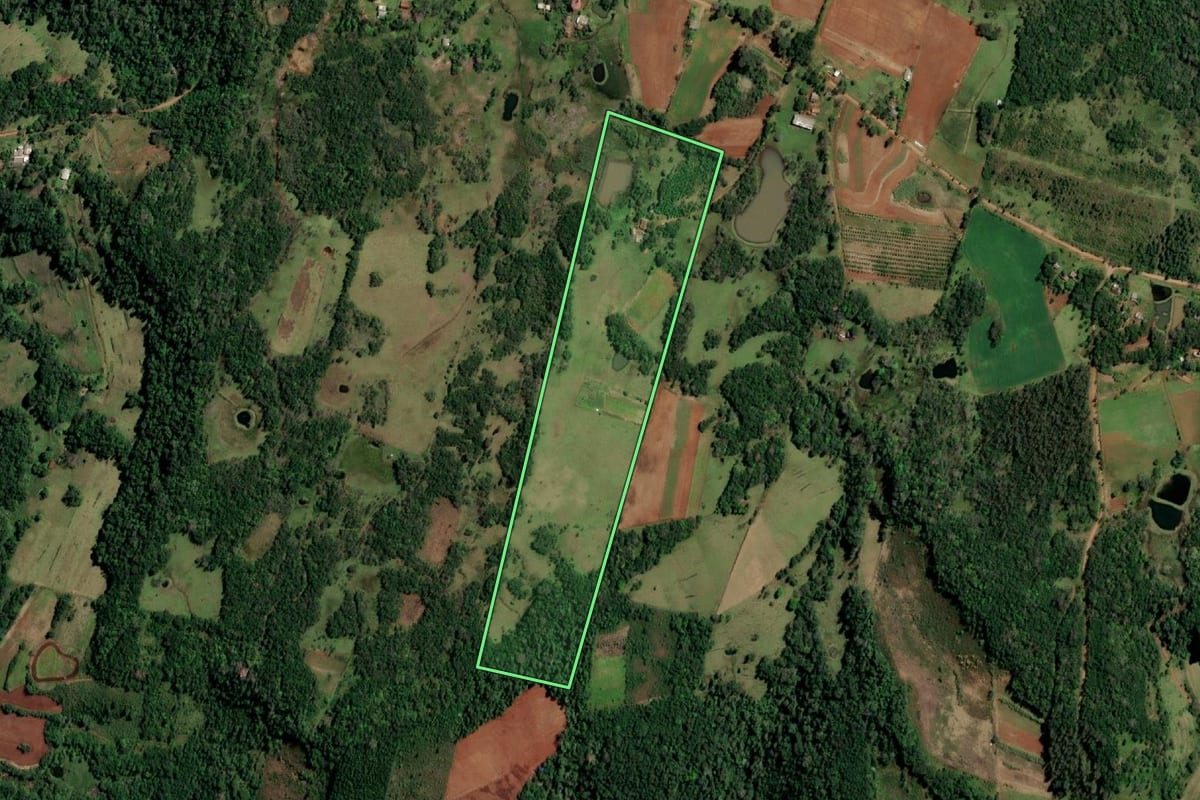 Imagem de satélite do imóvel rural em Porto Vera Cruz (RS), com o contorno declarado no CAR desenhado por cima.