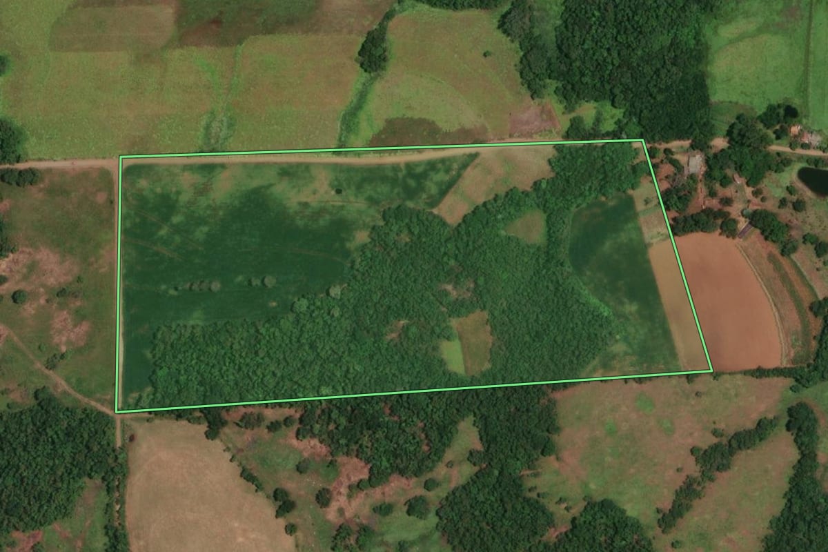 Imagem de satélite do imóvel rural em Porto Vera Cruz (RS), com o contorno declarado no CAR desenhado por cima.
