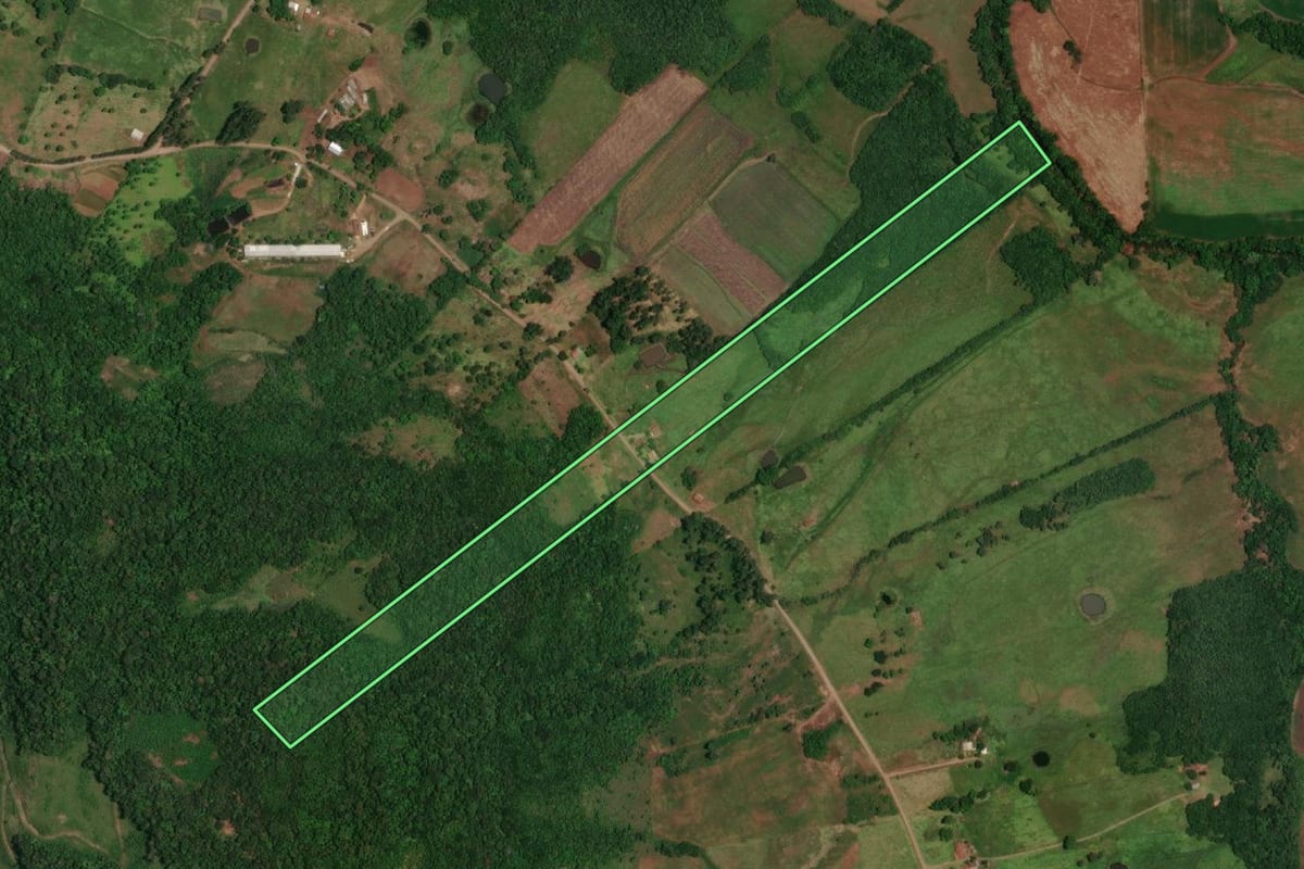Imagem de satélite do imóvel rural em Porto Vera Cruz (RS), com o contorno declarado no CAR desenhado por cima.
