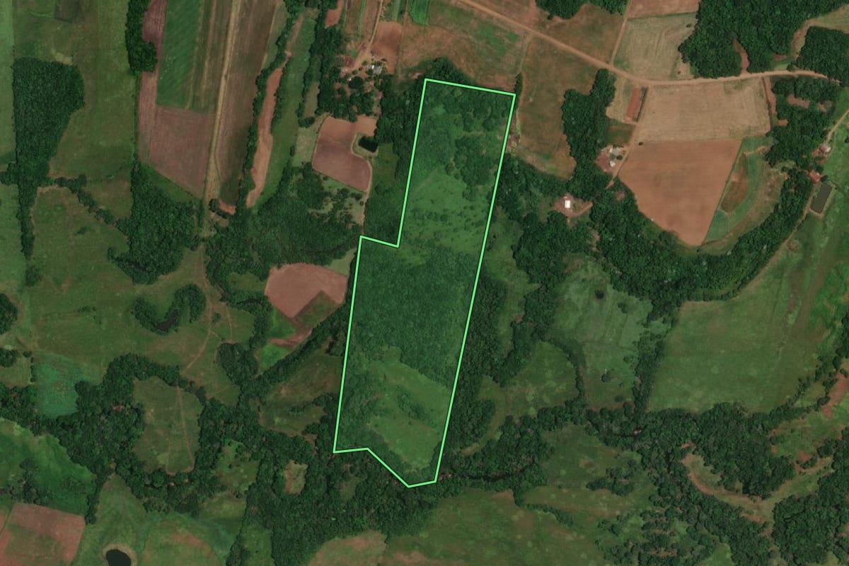 Imagem de satélite do imóvel rural em Porto Vera Cruz (RS), com o contorno declarado no CAR desenhado por cima.