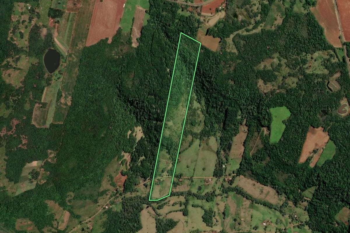 Imagem de satélite do imóvel rural em Porto Vera Cruz (RS), com o contorno declarado no CAR desenhado por cima.