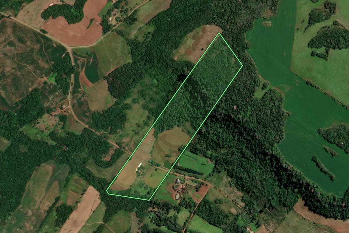 Imagem de satélite do imóvel rural em Porto Vera Cruz (RS), com o contorno declarado no CAR desenhado por cima.