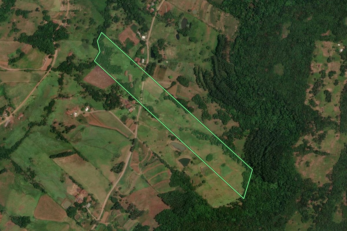 Imagem de satélite do imóvel rural em Porto Vera Cruz (RS), com o contorno declarado no CAR desenhado por cima.
