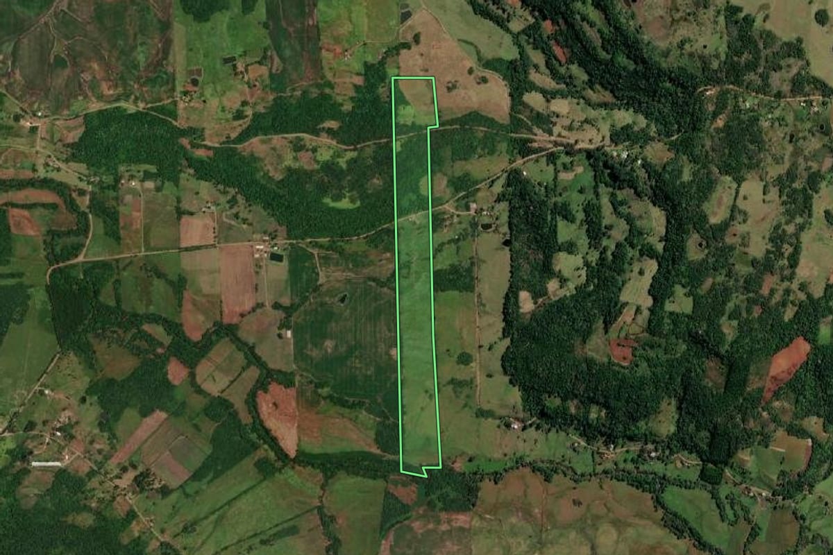 Imagem de satélite do imóvel rural em Porto Vera Cruz (RS), com o contorno declarado no CAR desenhado por cima.