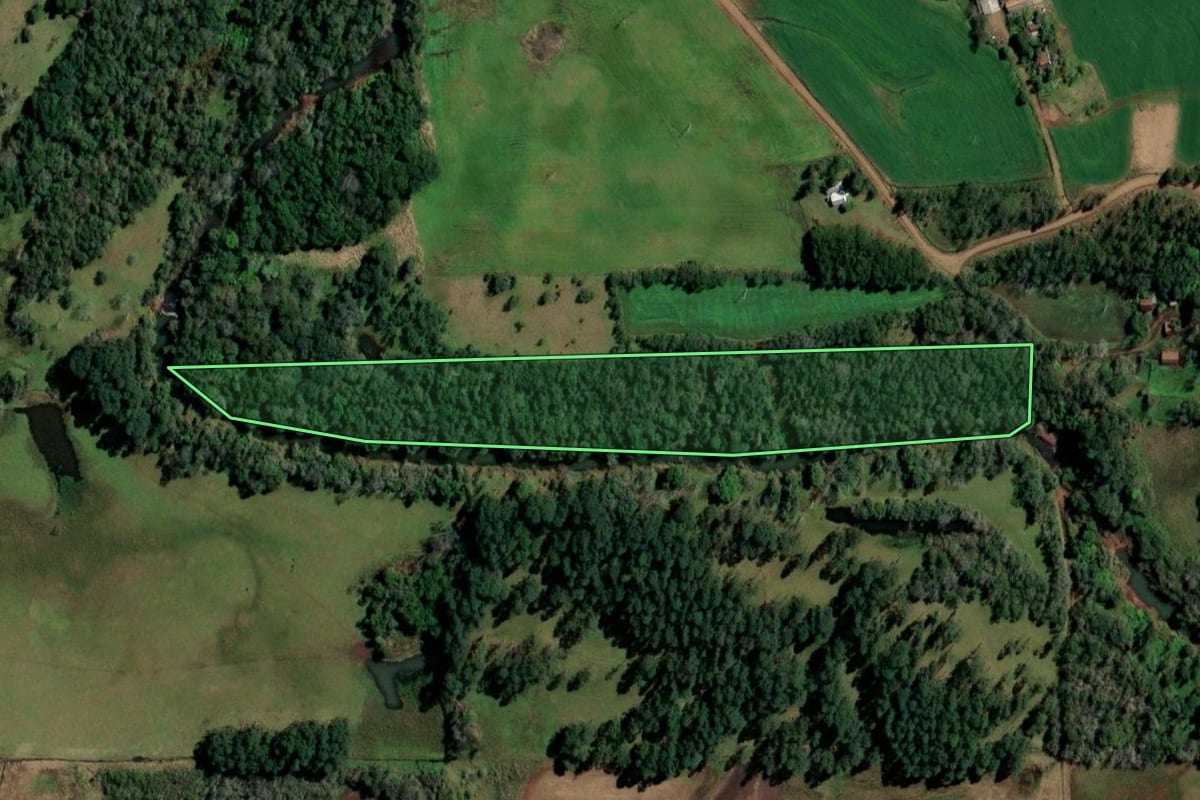 Imagem de satélite do imóvel rural em Porto Vera Cruz (RS), com o contorno declarado no CAR desenhado por cima.