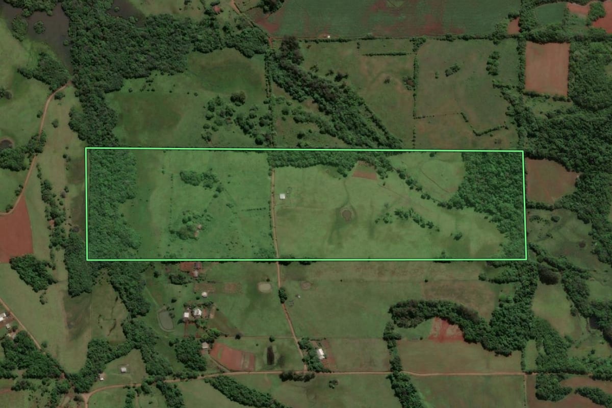 Imagem de satélite do imóvel rural em Porto Xavier (RS), com o contorno declarado no CAR desenhado por cima.