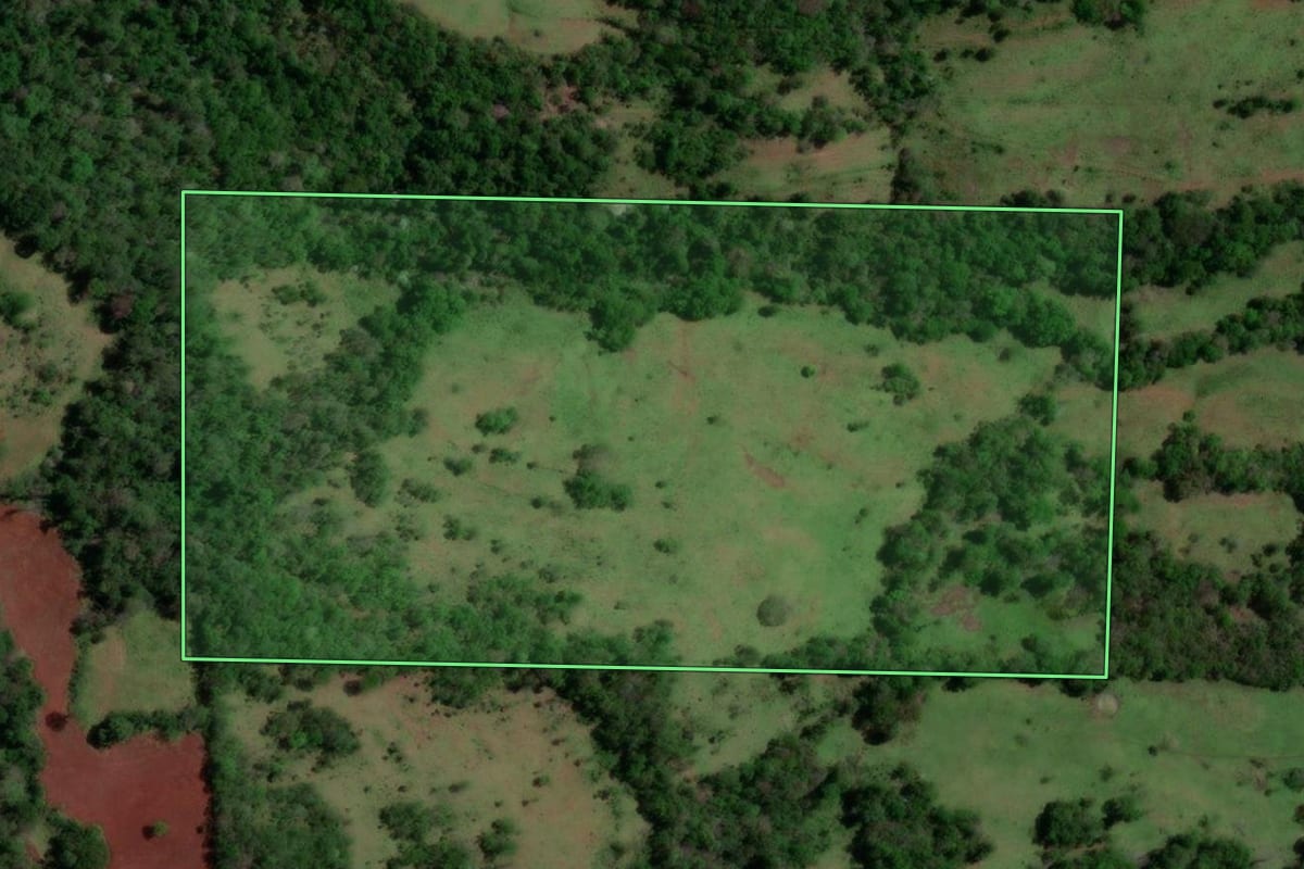 Imagem de satélite do imóvel rural em Porto Xavier (RS), com o contorno declarado no CAR desenhado por cima.