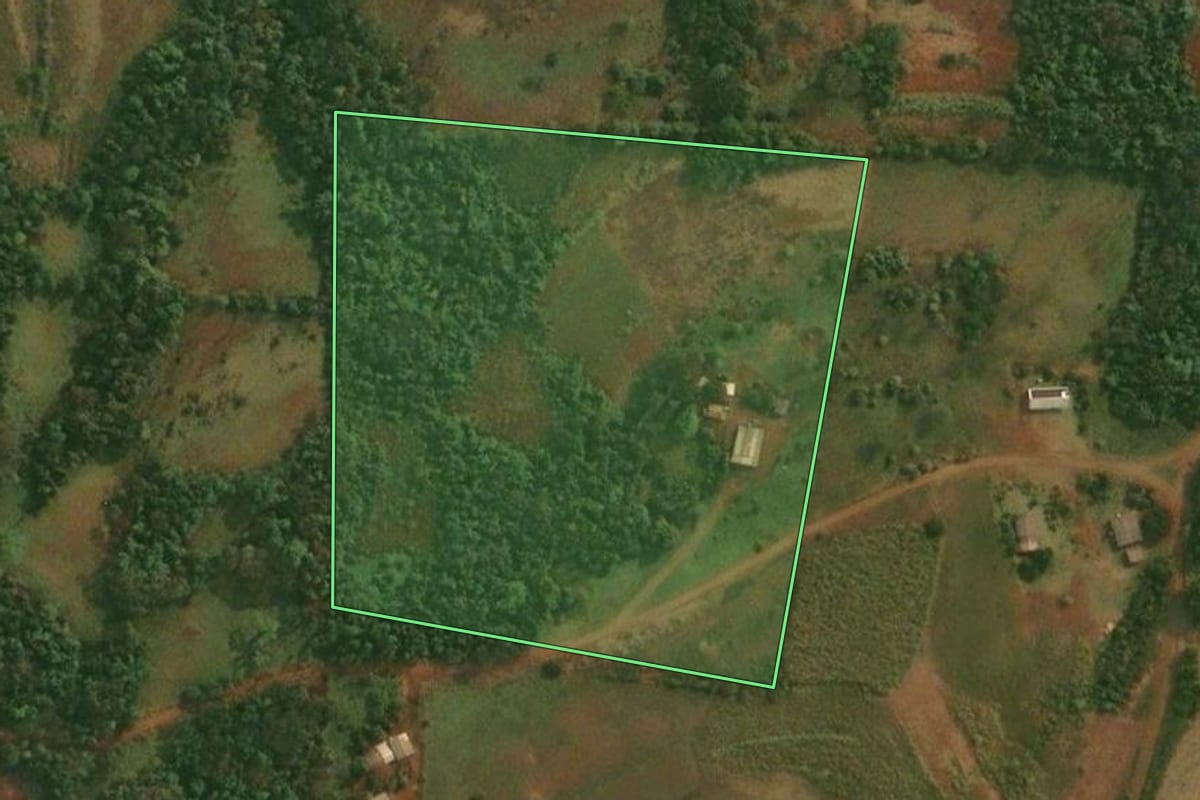 Imagem de satélite do imóvel rural em São Paulo das Missões (RS), com o contorno declarado no CAR desenhado por cima.
