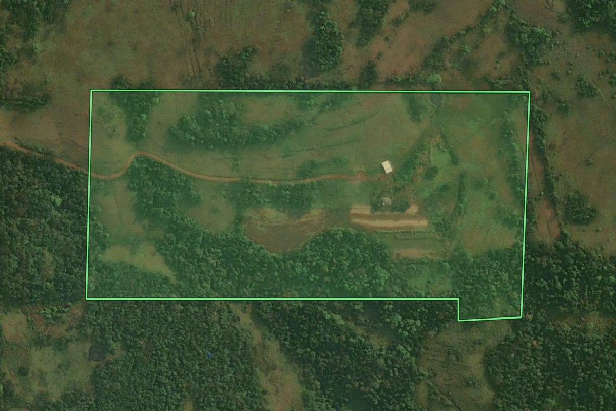 Imagem de satélite do imóvel rural em Porto Xavier (RS), com o contorno declarado no CAR desenhado por cima.