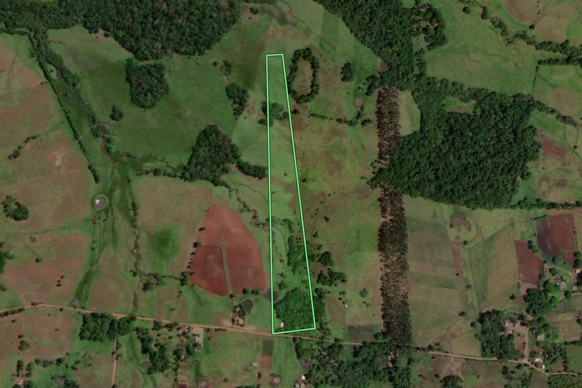 Imagem de satélite do imóvel rural em Porto Xavier (RS), com o contorno declarado no CAR desenhado por cima.