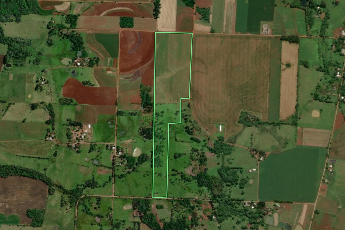 Imagem de satélite do imóvel rural em Porto Xavier (RS), com o contorno declarado no CAR desenhado por cima.
