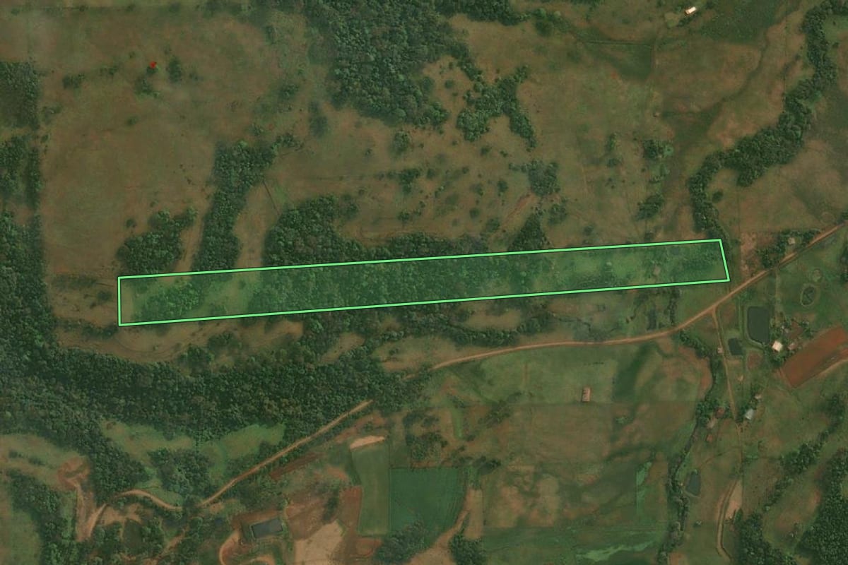 Imagem de satélite do imóvel rural em Porto Xavier (RS), com o contorno declarado no CAR desenhado por cima.