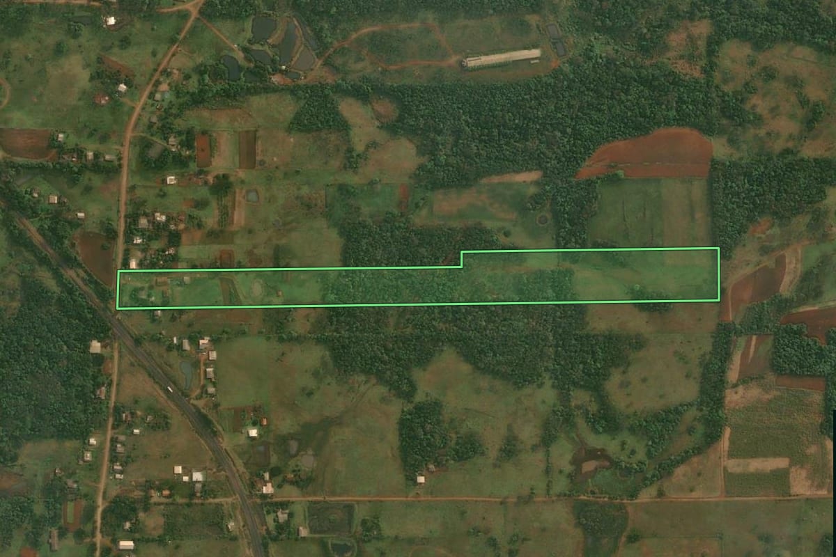 Imagem de satélite do imóvel rural em Porto Xavier (RS), com o contorno declarado no CAR desenhado por cima.