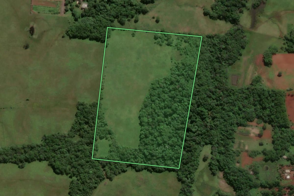 Imagem de satélite do imóvel rural em Porto Xavier (RS), com o contorno declarado no CAR desenhado por cima.