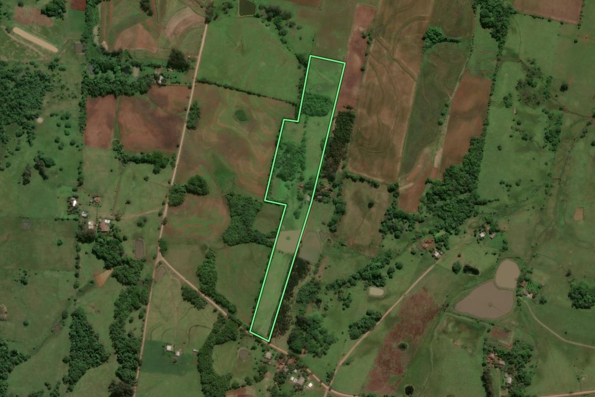 Imagem de satélite do imóvel rural em Porto Xavier (RS), com o contorno declarado no CAR desenhado por cima.