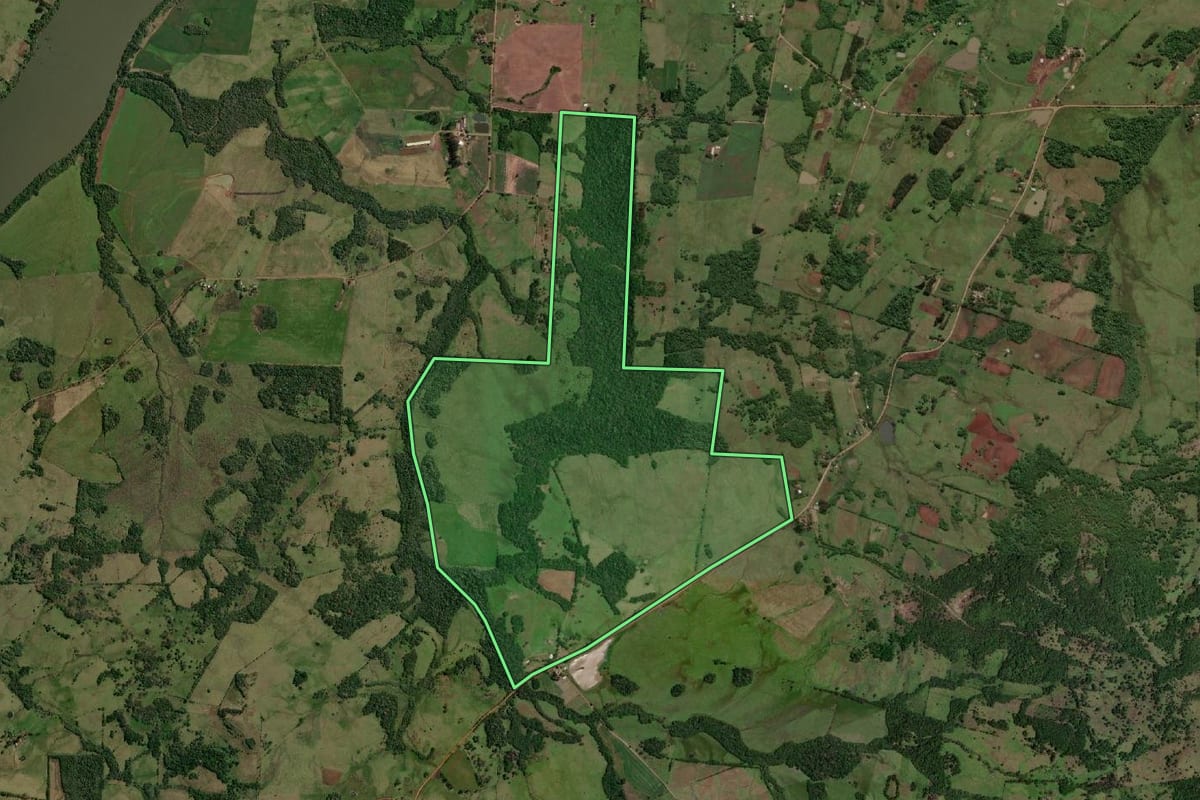 Imagem de satélite do imóvel rural em Porto Xavier (RS), com o contorno declarado no CAR desenhado por cima.