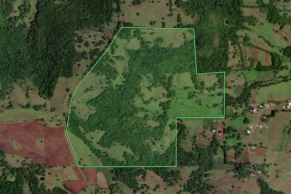 Imagem de satélite do imóvel rural em Porto Xavier (RS), com o contorno declarado no CAR desenhado por cima.