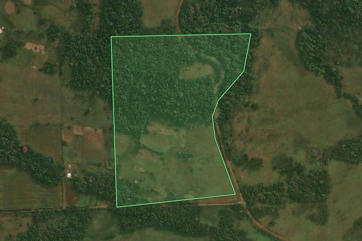 Imagem de satélite do imóvel rural em Porto Xavier (RS), com o contorno declarado no CAR desenhado por cima.