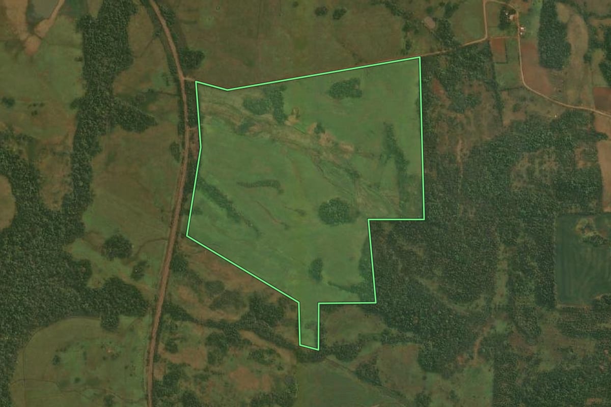 Imagem de satélite do imóvel rural em Porto Xavier (RS), com o contorno declarado no CAR desenhado por cima.