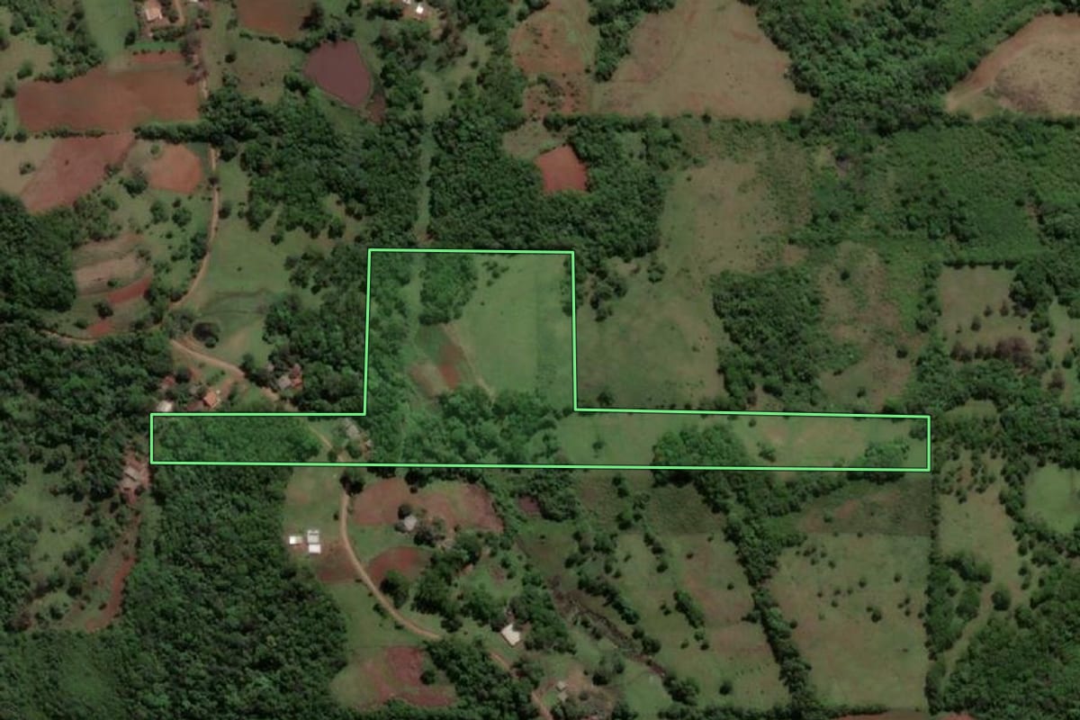 Imagem de satélite do imóvel rural em Porto Xavier (RS), com o contorno declarado no CAR desenhado por cima.