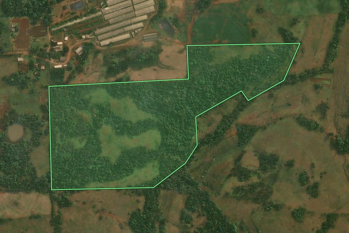 Imagem de satélite do imóvel rural em Porto Xavier (RS), com o contorno declarado no CAR desenhado por cima.