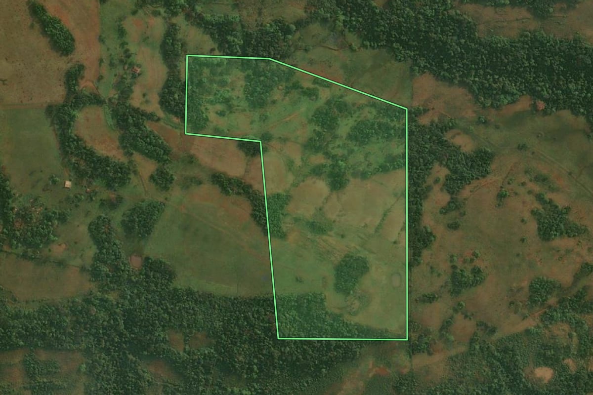 Imagem de satélite do imóvel rural em Porto Xavier (RS), com o contorno declarado no CAR desenhado por cima.