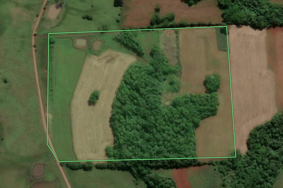 Imagem de satélite do imóvel rural em Porto Xavier (RS), com o contorno declarado no CAR desenhado por cima.