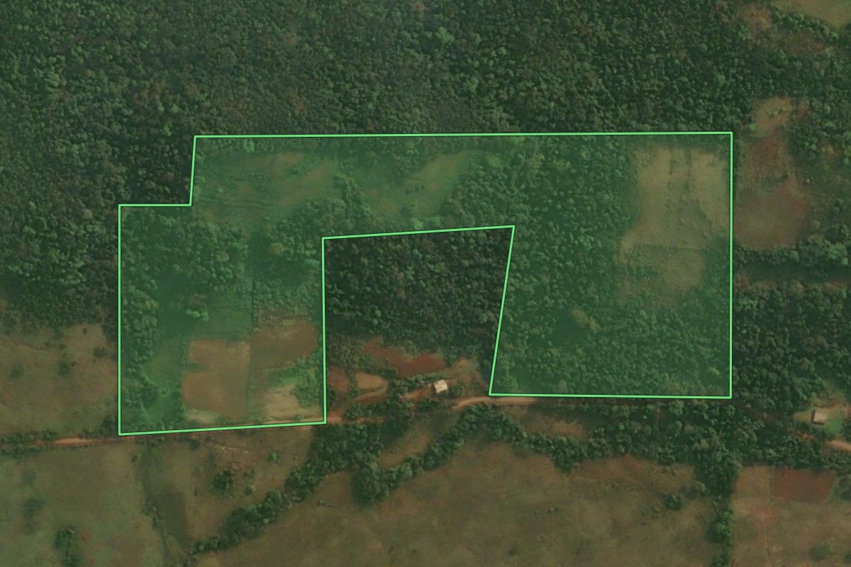 Imagem de satélite do imóvel rural em Porto Xavier (RS), com o contorno declarado no CAR desenhado por cima.