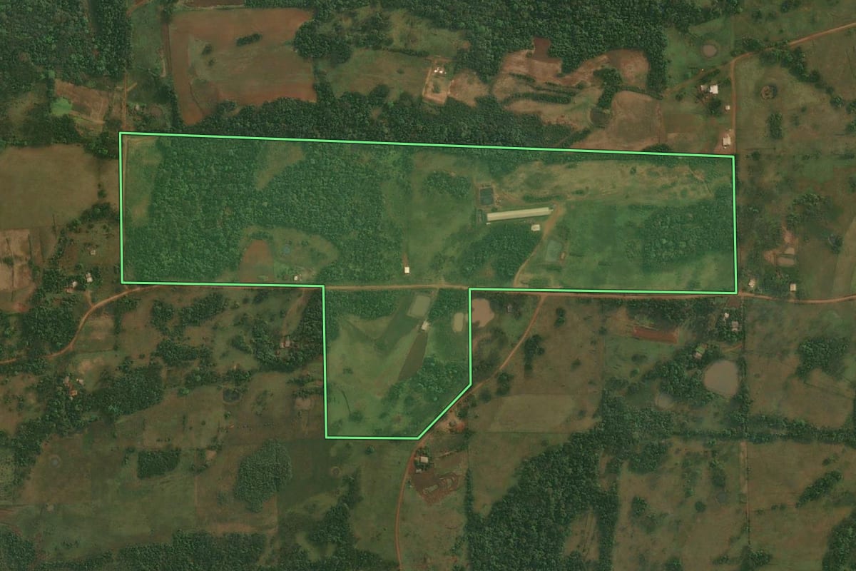 Imagem de satélite do imóvel rural em Porto Xavier (RS), com o contorno declarado no CAR desenhado por cima.