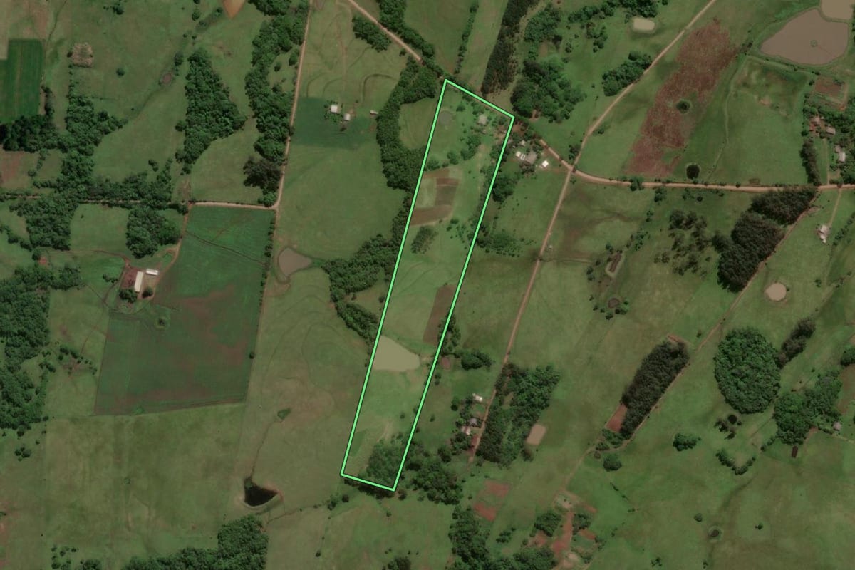 Imagem de satélite do imóvel rural em Porto Xavier (RS), com o contorno declarado no CAR desenhado por cima.