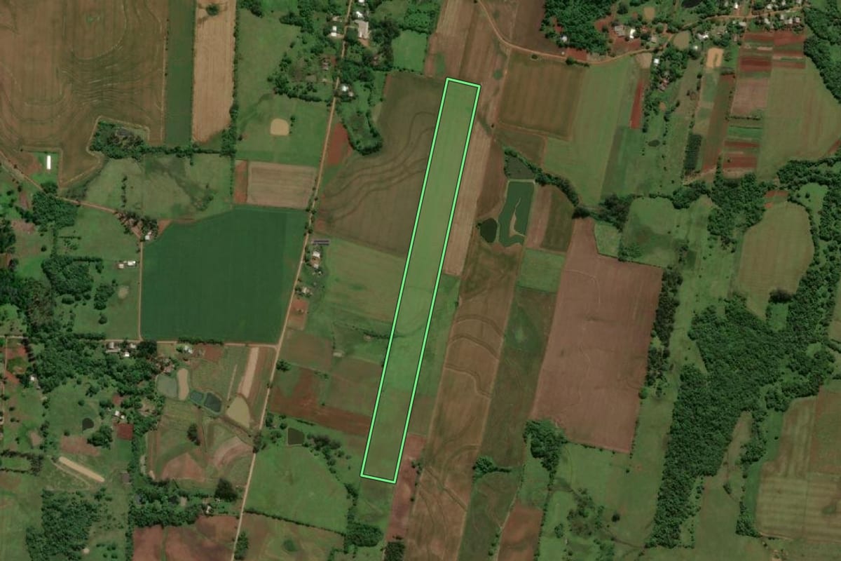 Imagem de satélite do imóvel rural em Porto Xavier (RS), com o contorno declarado no CAR desenhado por cima.