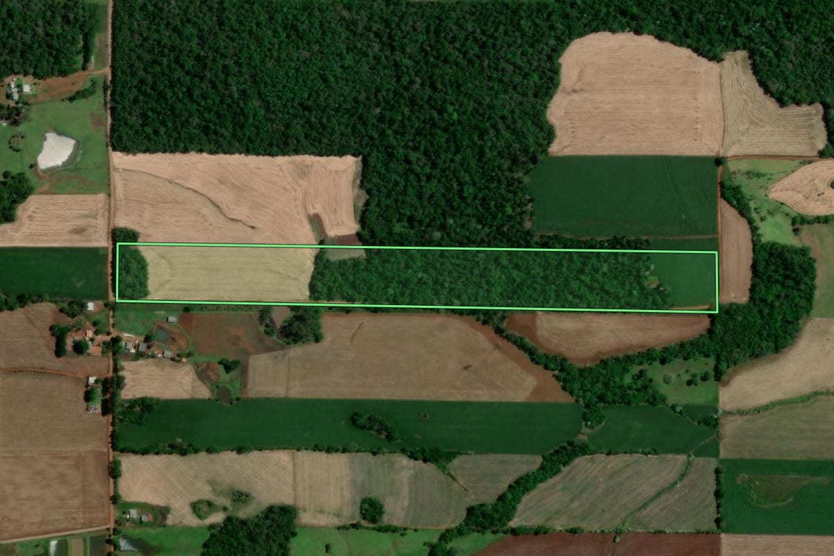 Imagem de satélite do imóvel rural em Porto Xavier (RS), com o contorno declarado no CAR desenhado por cima.