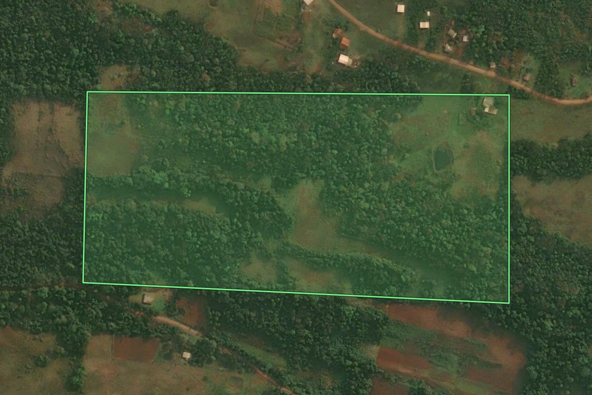 Imagem de satélite do imóvel rural em Porto Xavier (RS), com o contorno declarado no CAR desenhado por cima.