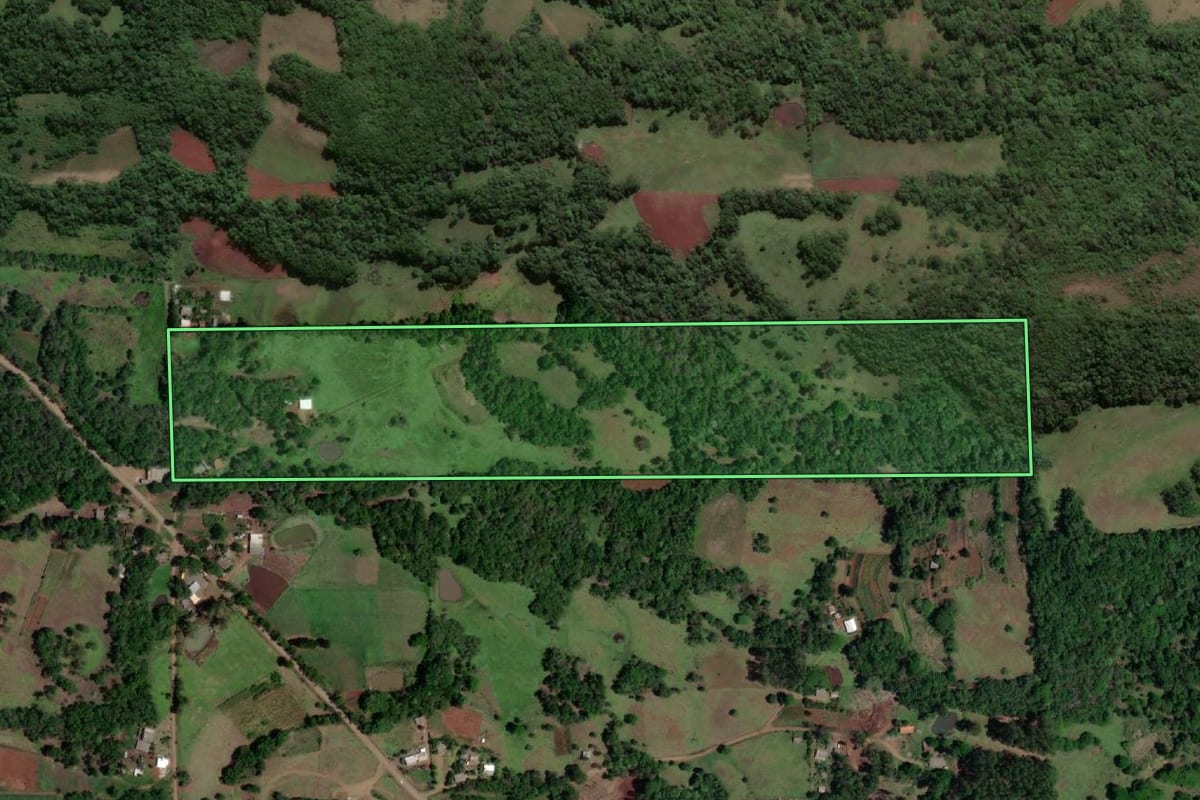 Imagem de satélite do imóvel rural em Porto Xavier (RS), com o contorno declarado no CAR desenhado por cima.