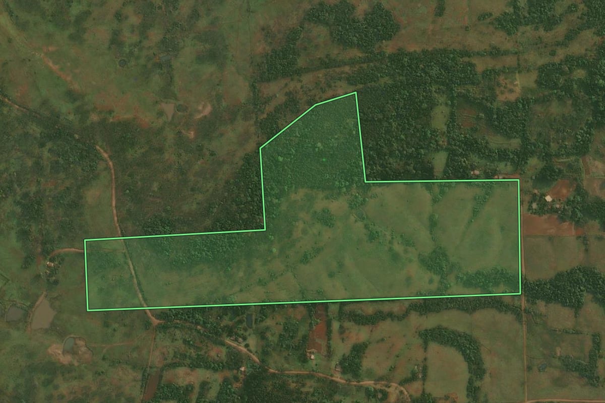 Imagem de satélite do imóvel rural em Porto Xavier (RS), com o contorno declarado no CAR desenhado por cima.