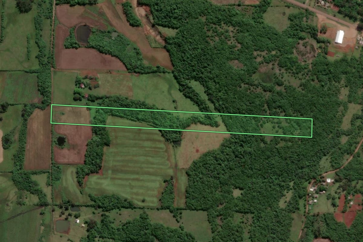 Imagem de satélite do imóvel rural em Porto Xavier (RS), com o contorno declarado no CAR desenhado por cima.