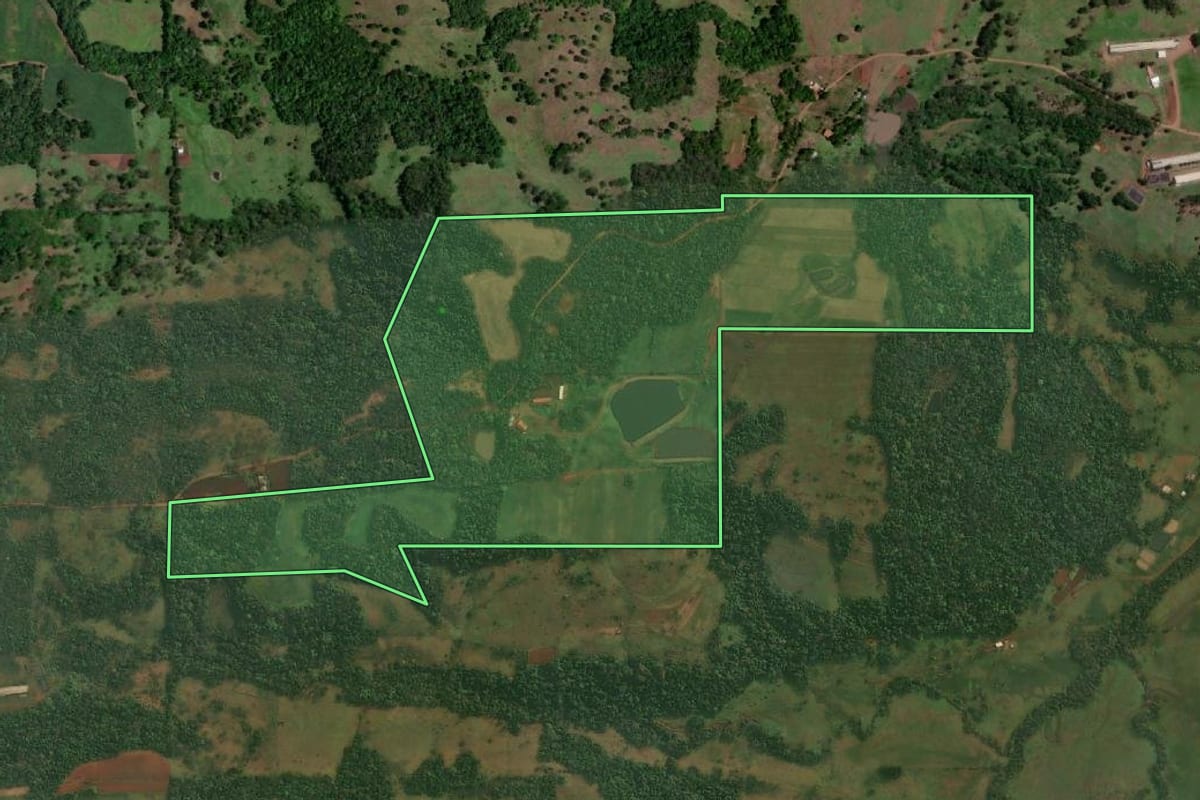 Imagem de satélite do imóvel rural em Porto Xavier (RS), com o contorno declarado no CAR desenhado por cima.
