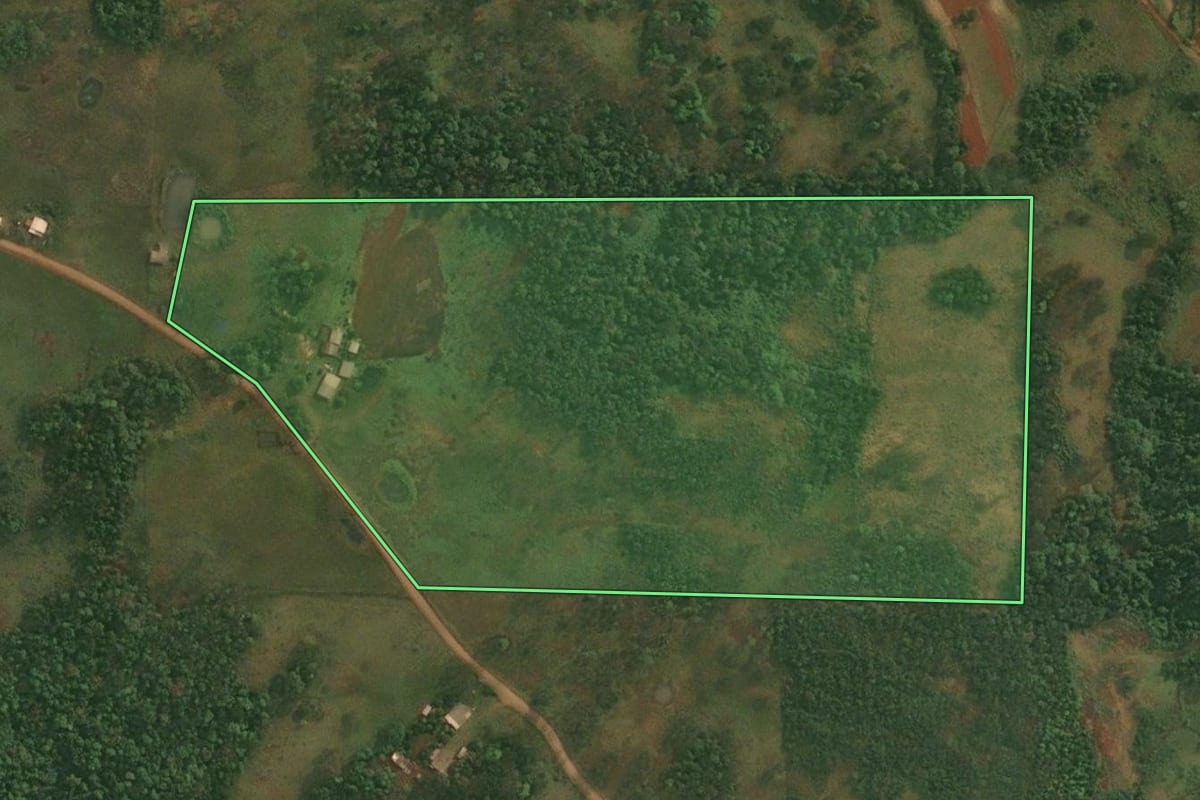 Imagem de satélite do imóvel rural em Porto Xavier (RS), com o contorno declarado no CAR desenhado por cima.